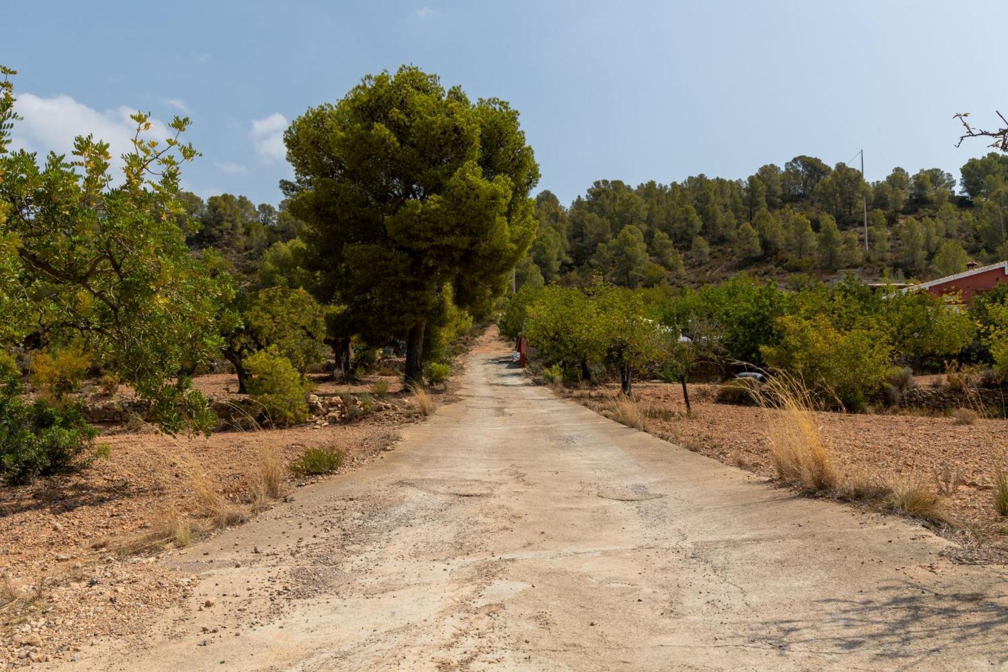 Finca El Escondite Olocau Zewnętrze zdjęcie